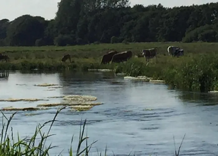 Daire Ved Kongeaen Ribe