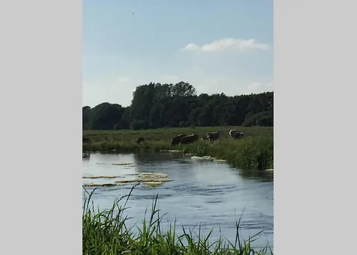 Apartament Ved Kongeaen Ribe